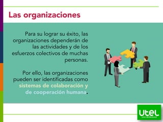 Para su lograr su éxito, las
organizaciones dependerán de
las actividades y de los
esfuerzos colectivos de muchas
personas.
Por ello, las organizaciones
pueden ser identificadas como
sistemas de colaboración y
de cooperación humana.
Las organizaciones
 