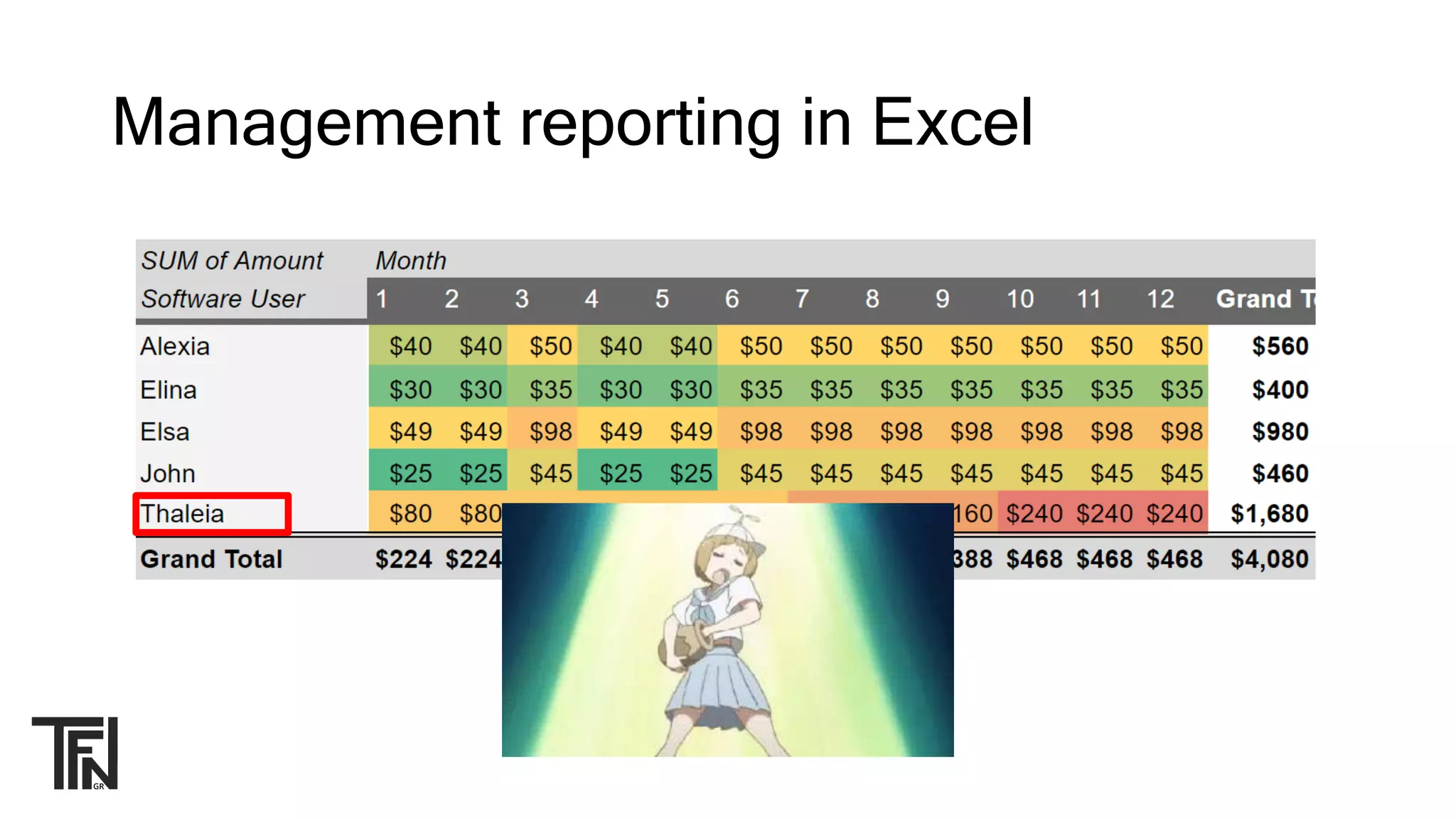 Management reporting in Excel
 