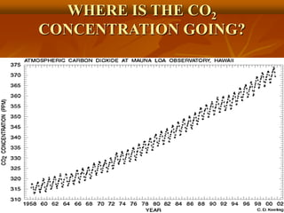 WHERE IS THE CO2
CONCENTRATION GOING?
 