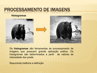 PROCESSAMENTO DE IMAGENS
Histogramas
Os histogramas são ferramentas de processamento de
imagens que possuem grande aplicação prática. Os
histogramas são determinados a partir de valores de
intensidade dos pixels.
Resumindo,melhora a definição
 