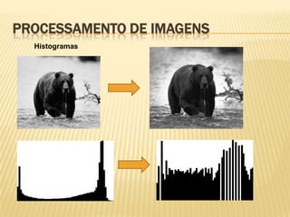 PROCESSAMENTO DE IMAGENS
Histogramas
 