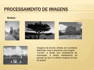 PROCESSAMENTO DE IMAGENS
Imagens de árvores obtidas em condições
diferentes, topo à esquerda uma imagem
“normal”, à direita com interferência de
iluminação, à direita interferência do
período do ano e à direita mudança do tipo
de sensor
Ruídos:
 
