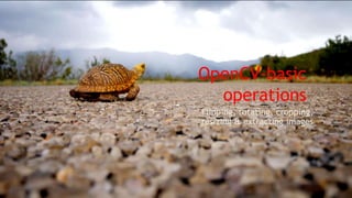 OpenCV-basic
operations
Flipping, rotating, cropping,
resizing & extracting images
 