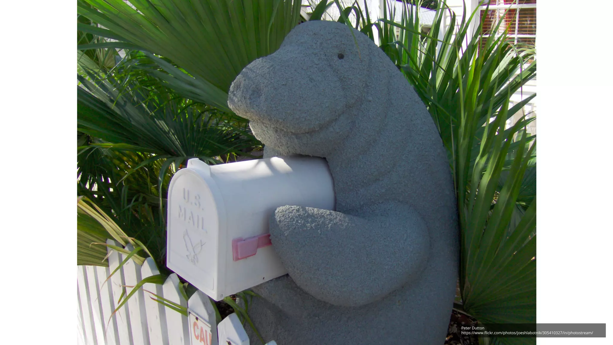 Google confidential │ Do not distribute
Peter Dutton
https://www.flickr.com/photos/joeshlabotnik/305410327/in/photostream/
 