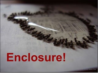 Enclosure!
Last Meal. Par Lottery Monkey. CC-BY-NC-ND. Source : Flickr
 