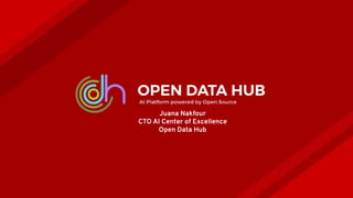 Juana Nakfour
CTO AI Center of Excellence
Open Data Hub
 