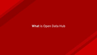 What is Open Data Hub