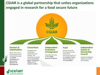 CGIAR is a global partnership that unites organizations 
engaged in research for a food secure future 
 