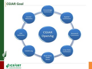 CGIAR Goal 
 