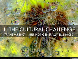 Photo by Evan Leeson - http://www.flickr.com/photos/ecstaticist/3544590621/