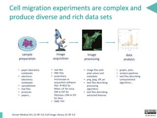 CC BY-SA 4.0
Cell migration experiments are complex and
produce diverse and rich data sets
Servier Medical Art, CC-BY 3.0; Cell Image Library, CC-BY 3.0
• paper laboratory
notebooks
• electronic
laboratory
notebooks
• spreadsheets
• text files
• protocols
• papers...
• raw files
• XML files
• proprietary
microscope or
acquisition software
files  ND2 for
Nikon, LIF for Leica,
OIB or OIF for
Olympus, LSM or ZVI
for Zeiss
• OME-TIFF
• image files with
pixel values and
metadata
• png, jpeg, tiff, avi
• text files describing
processing
algorithms
• text files describing
extracted features
• graphs, plots
• analysis pipelines
• text files describing
computational
algorithms...
sample
preparation
image
acquisition
image
processing
data
analysis
 