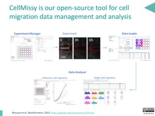 CC BY-SA 4.0
CellMissy is our open-source tool for cell
migration data management and analysis
0 3h 6h
wound
cells
Experiment
Data Analyzer
Data Loader
Collective cell migration Single-cell migration
Experiment Manager
Masuzzo et al., Bioinformatics, 2013; https://github.com/compomics/cellmissy
 