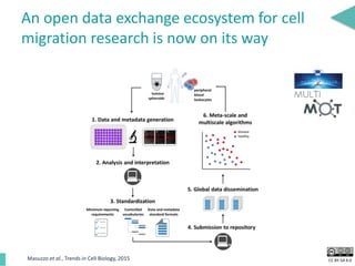 CC BY-SA 4.0
An open data exchange ecosystem for cell
migration research is now on its way
Masuzzo et al., Trends in Cell Biology, 2015
 