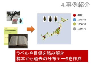 戦前
1945-49
1950-59
1960-70
ラベルや目録を読み解き
標本から過去の分布データを作成
4.事例紹介
 