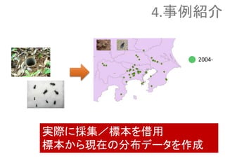 2004-
実際に採集／標本を借用
標本から現在の分布データを作成
4.事例紹介
 