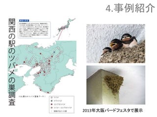 4.事例紹介
2013年大阪バードフェスタで展示
 