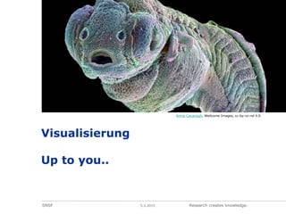 SNSF 5.3.2015 Research creates knowledge.
Visualisierung
Up to you..
Annie Cavanagh, Wellcome Images, cc-by-nc-nd 4.0
 