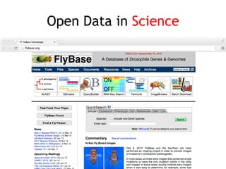 Open Data - Principles and Techniques