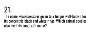 21.
The name melanoleuca is given to a fungus well-known for
its concentric black and white rings. Which animal species
also has this long Latin name?
 