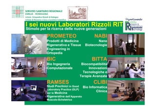 I sei nuovi Laboratori Rizzoli RIT
     Stimolo per la ricerca delle nuove generazioni

                PROMETEO                            NABI
                Prodotti di Medicina                  Nano
                Rigenerativa e Tissue         Biotecnologie
                Engineering in
                Ortopedia

                BIC                               BITTA
                Bio Ingegneria              Biocompatibilità
                Computazionale                  Innovazioni
                                             Tecnologiche e
                                           Terapie Avanzate

                RAMSES                              CLIBI
                Studi Preclinici in Good     Bio Informatica
                Laboratory Practice (GLP)
                per la Medicina
                                                      Clinica
10              Rigenerativa dell’Apparato
                Muscolo-Scheletrico
 