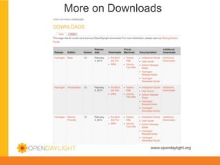 More on Downloads

www.opendaylight.org

 