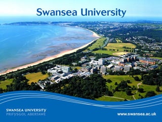 www.swansea.ac.uk
 