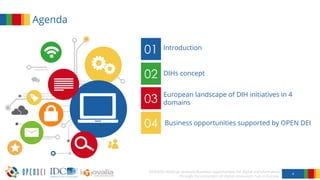 OPEN DEI & DIHs | PDF