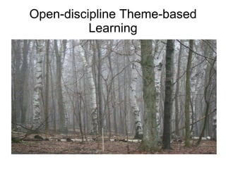 Open-discipline Theme-based Learning 