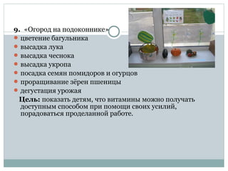 9. «Огород на подоконнике»
 цветение багульника
 высадка лука
 высадка чеснока
 высадка укропа
 посадка семян помидоров и огурцов
 проращивание зёрен пшеницы
 дегустация урожая
Цель: показать детям, что витамины можно получать
доступным способом при помощи своих усилий,
порадоваться проделанной работе.
 