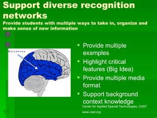 Support diverse recognition networks Provide students with multiple ways to take in, organize and make sense of new information Provide multiple examples  Highlight critical features (Big Idea) Provide multiple media format  Support background context knowledge Center for Applied Special Technologies, CAST www.cast.org 