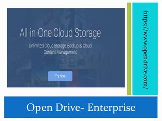 Open Drive- Enterprise
https://www.opendrive.com/
 