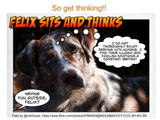 So get thinking!!
Felix by @mdvfunes https://www.flickr.com/photos/97994829@N03/29650137712 CC BY-NC-SA
 