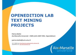 OPENEDITION LAB
TEXT MINING
PROJECTS
Patrice	
  Bellot 
Aix-­‐Marseille	
  Université	
  -­‐	
  CNRS	
  (LSIS	
  UMR	
  7296	
  ;	
  OpenEdition)	
  
!
patrice.bellot@univ-­‐amu.fr
LSIS	
  -­‐	
  DIMAG	
  team	
  http://www.lsis.org/spip.php?id_rubrique=291	
  
OpenEdition	
  Lab	
  :	
  http://lab.hypotheses.org
 