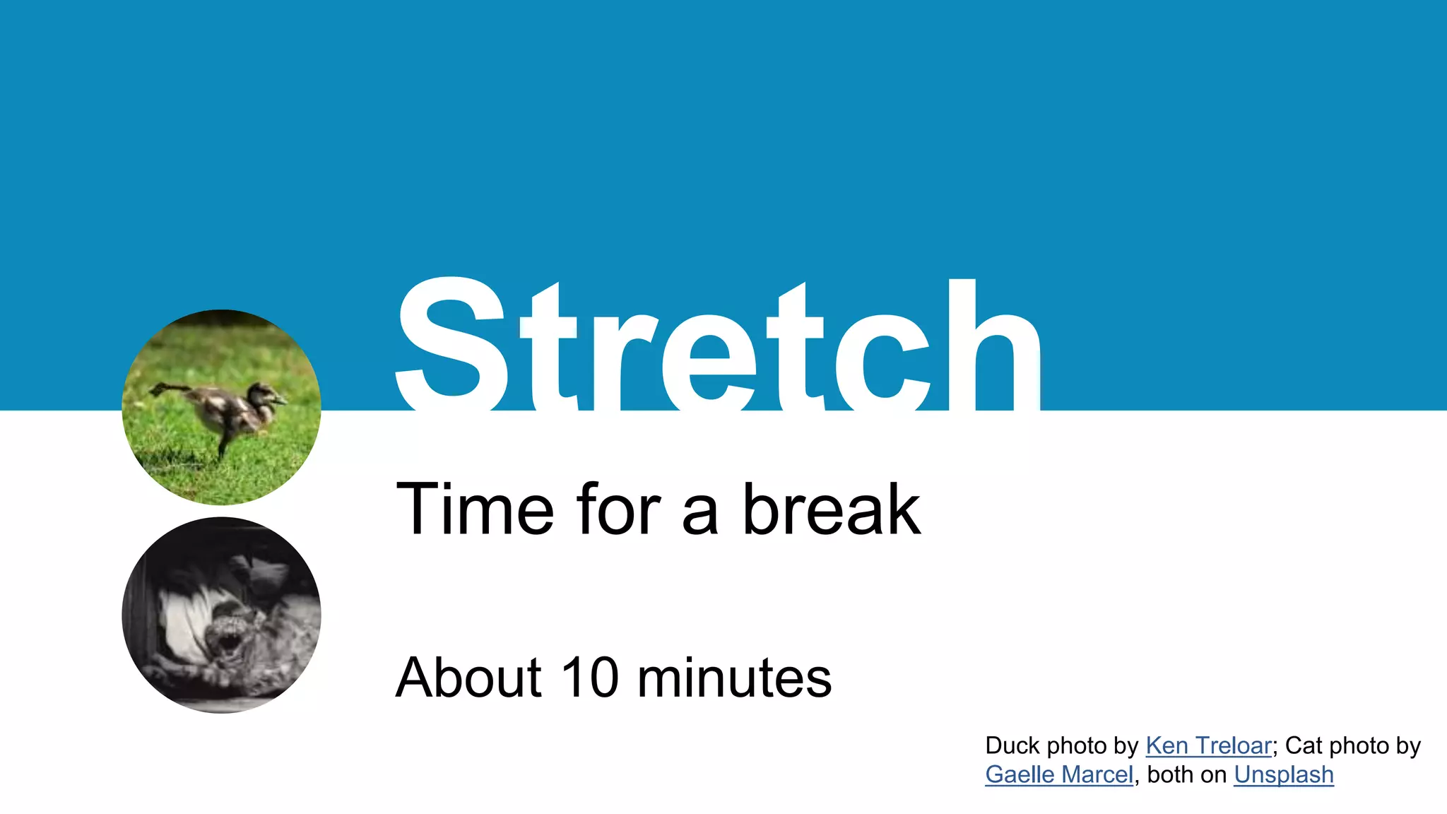 Stretch
Time for a break
About 10 minutes
Duck photo by Ken Treloar; Cat photo by
Gaelle Marcel, both on Unsplash
 