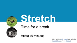 Stretch
Time for a break
About 10 minutes
Duck photo by Ken Treloar; Cat photo by
Gaelle Marcel, both on Unsplash
 