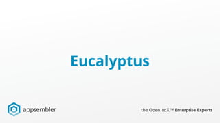 Eucalyptus
 