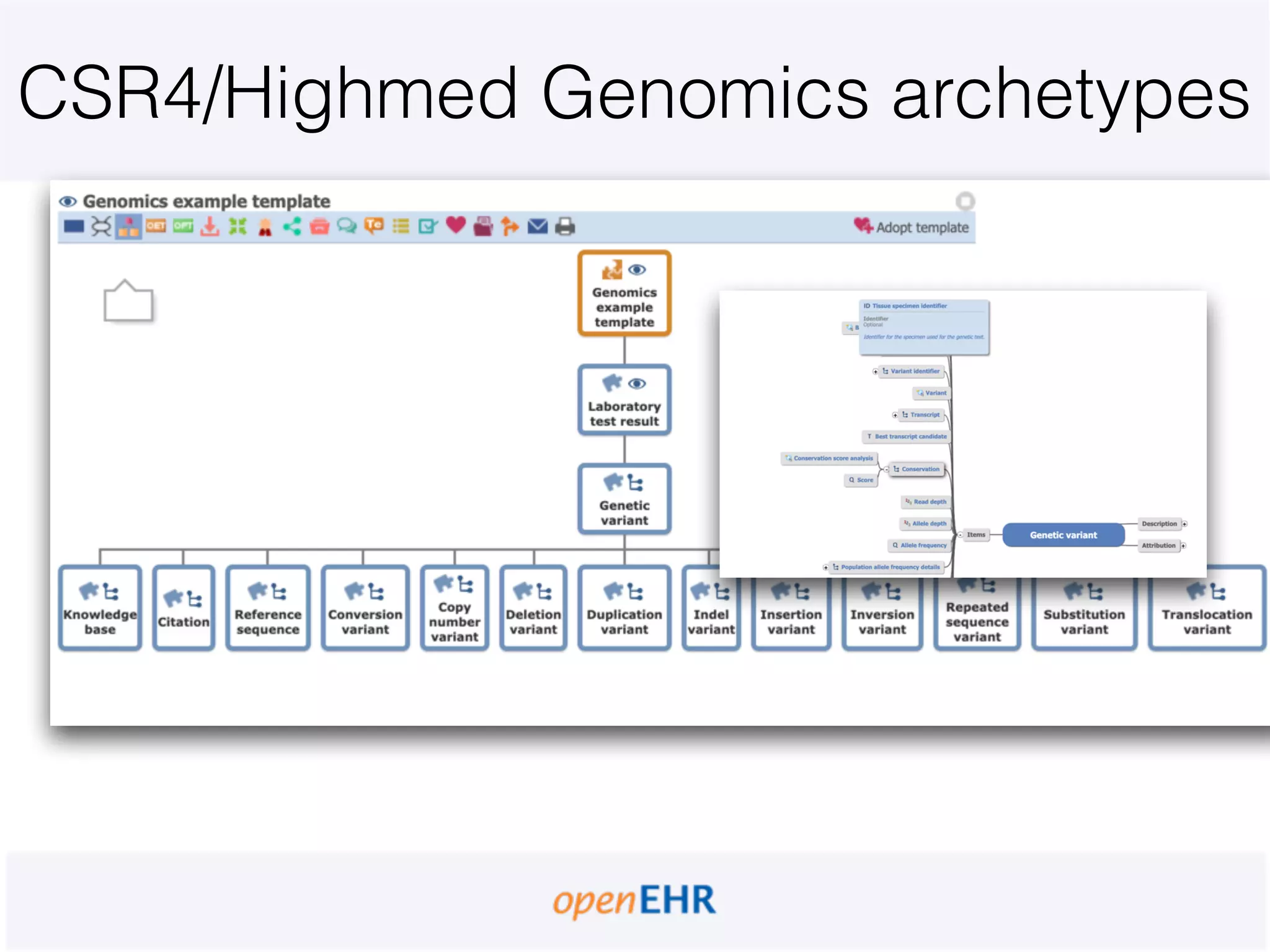CSR4/Highmed Genomics archetypes
 