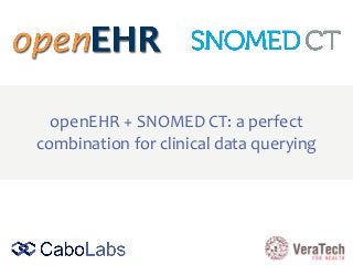 openEHR + SNOMED CT: a perfect
combination for clinical data querying
 