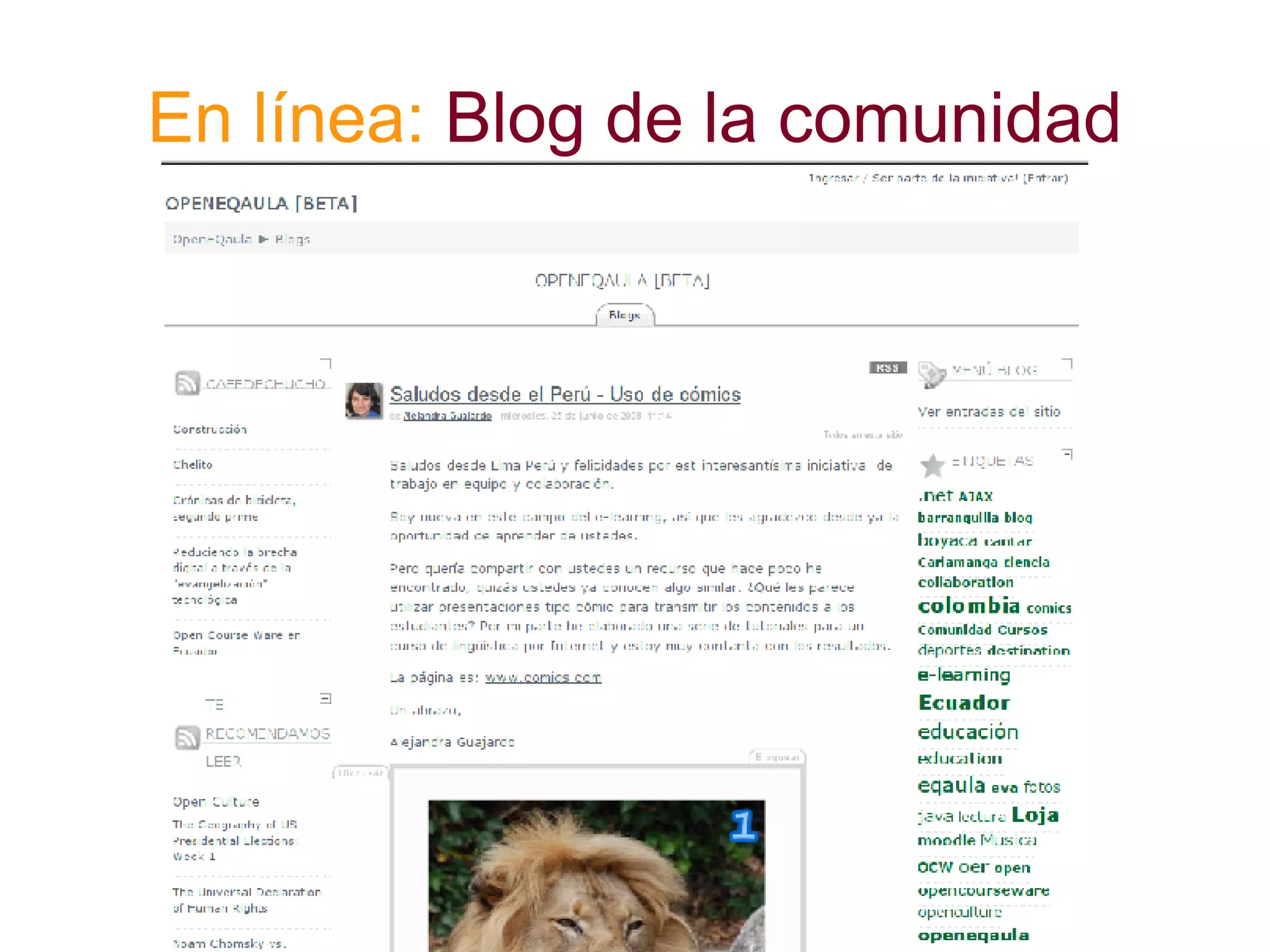 En línea: Blog de la comunidad