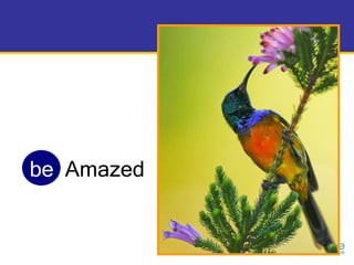be   Amazed 