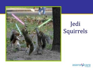 Jedi Squirrels 