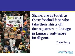 Sharks are as tough as those football fans who take their shirts off during games in Chicago in January, only more intelligent. Dave Berry   