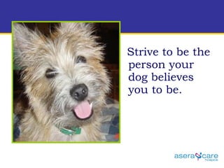 Strive to be the person your dog believes you to be.  