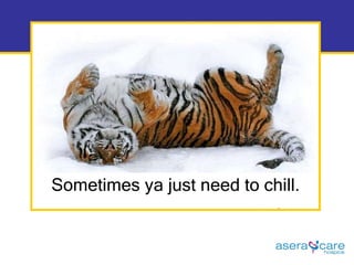 Sometimes ya just need to chill. 