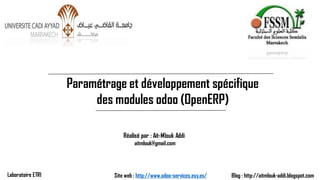 Paramétrage et développement spécifique des modules odoo(OpenERP) 
Réalisé par : Ait-Mlouk Addi 
Blog : http://aitmlouk-addi.blogspot.com 
Site web : http://www.odoo-services.esy.es/ 
aitmlouk@gmail.com 
Laboratoire ETRI  