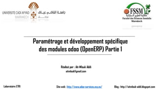 Paramétrage et développement spécifique des modules odoo(OpenERP) Partie 1 
Réalisé par : Ait-Mlouk Addi 
Blog : http://aitmlouk-addi.blogspot.com 
Site web : http://www.odoo-services.esy.es/ 
Laboratoire ETRI 
aitmlouk@gmail.com  