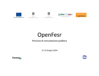OpenFesr
Percorso di consultazione pubblica
11-12 Giugno 2014
 