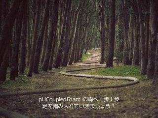 132
pUCoupledFoam の森へ１歩１歩
足を踏み入れていきましょう！
 