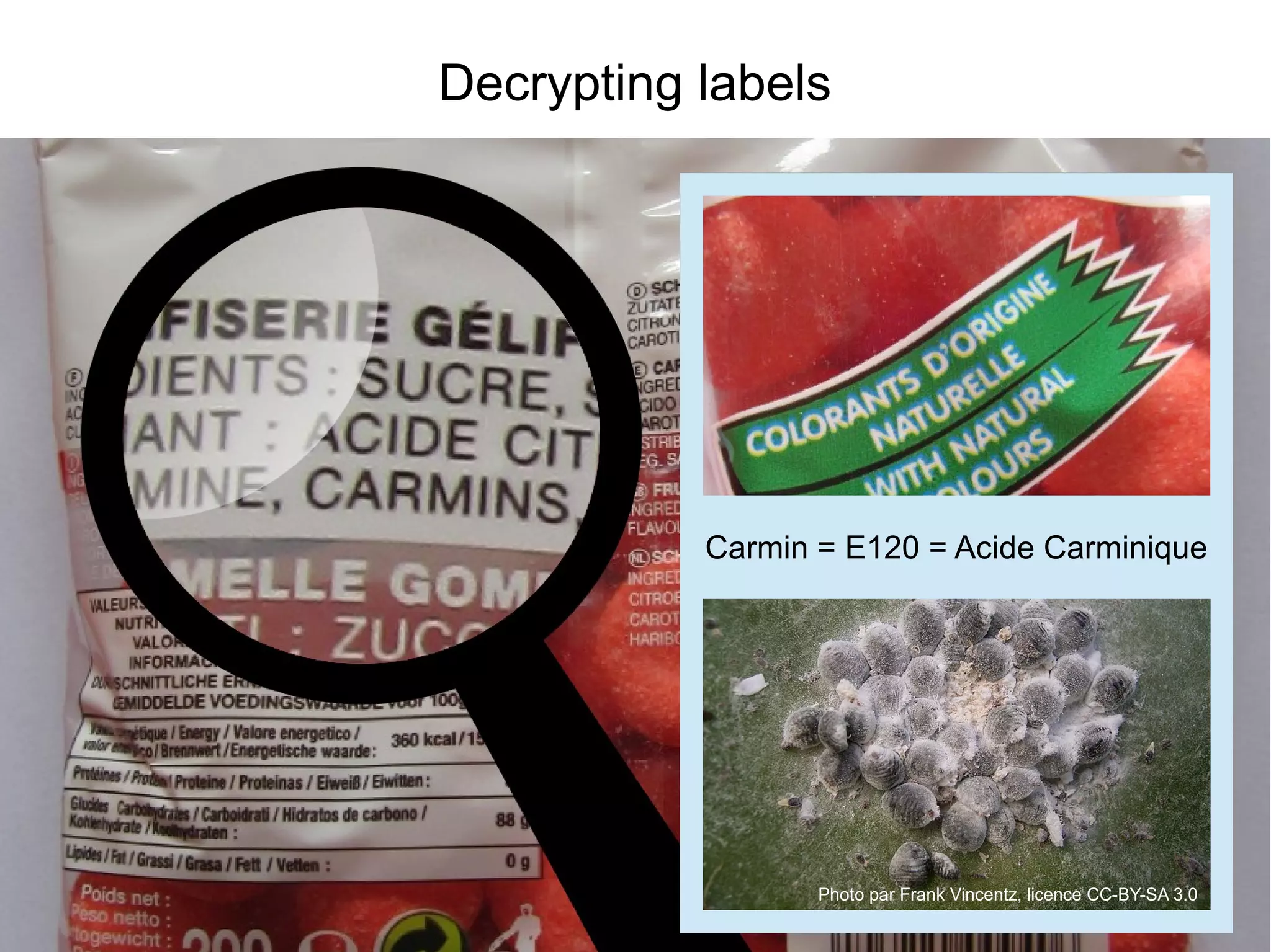 Decrypting labels
Carmin = E120 = Acide Carminique
Photo par Frank Vincentz, licence CC-BY-SA 3.0
 