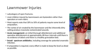 Lawnmower Injuries
• subcategory of open fractures.
• most children injured by lawnmowers are bystanders rather than
operators or even riders.
• Most reports note that 30% to 50% of patients require some level of
amputation.
• The vortex of air created by the lawnmower and the inherently dirty
setting produce massively contaminated wounds.
• Acute management: an initial thorough débridement and additional
operative débridement at approximately 48-hour intervals until there is
no evidence of debris and there is a healthy granulation bed.
• broad- spectrum antibiotics, including coverage for potential anaerobic
infection.
• If amputation is required, every effort is made to keep the level as distal
as possible.
 